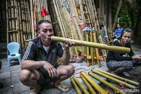  The Magical Bamboo -  A Journey Through Vietnamese Mysticism and Human Curiosity!